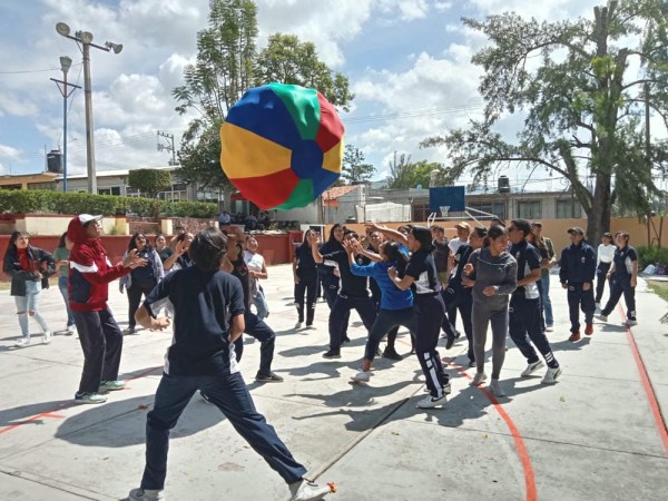 Imagen de la galería