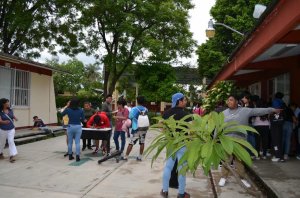 Imagen de la galería