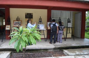 Imagen de la galería