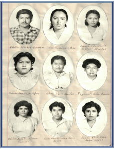 Imagen de la galería